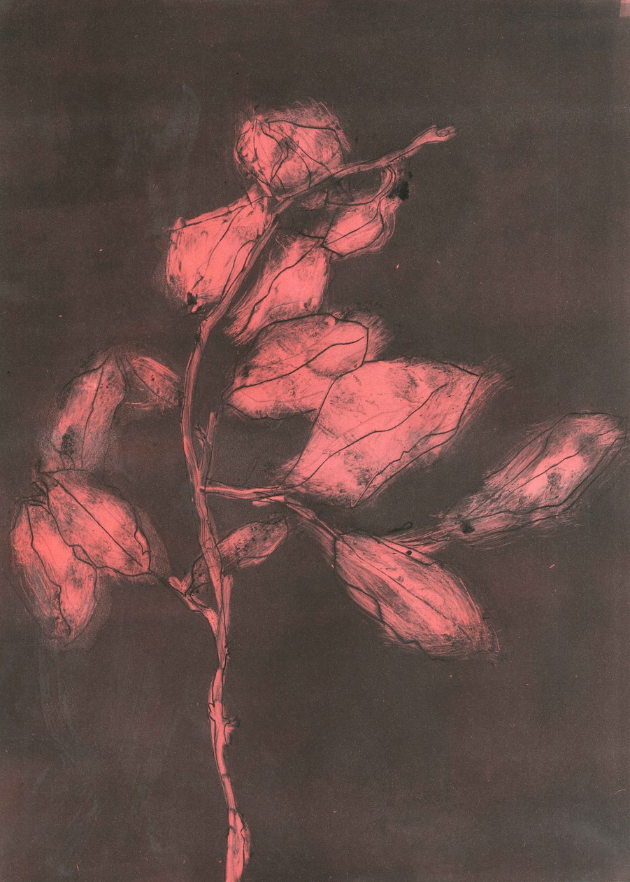 Lombozat I, 2015 (monoprint papírra) alkotó: Stephen Dow
