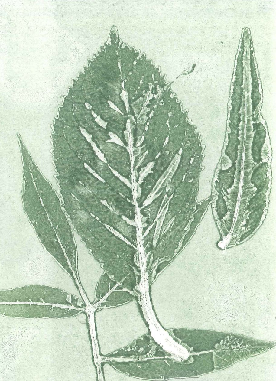 Gone IX, 2015 (monoprint, papír) alkotó: Stephen Dow