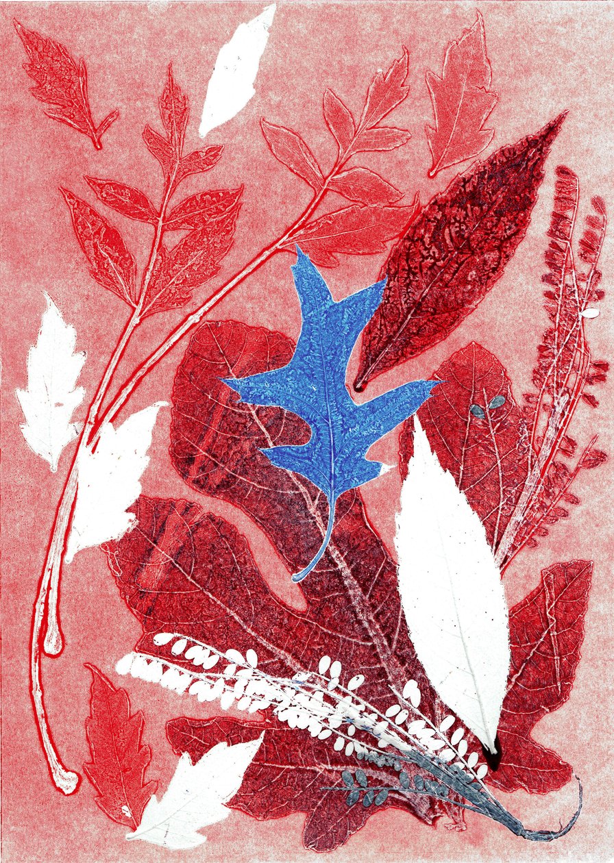Jol III, 2017 (monoprint, papír) alkotó: Stephen Dow