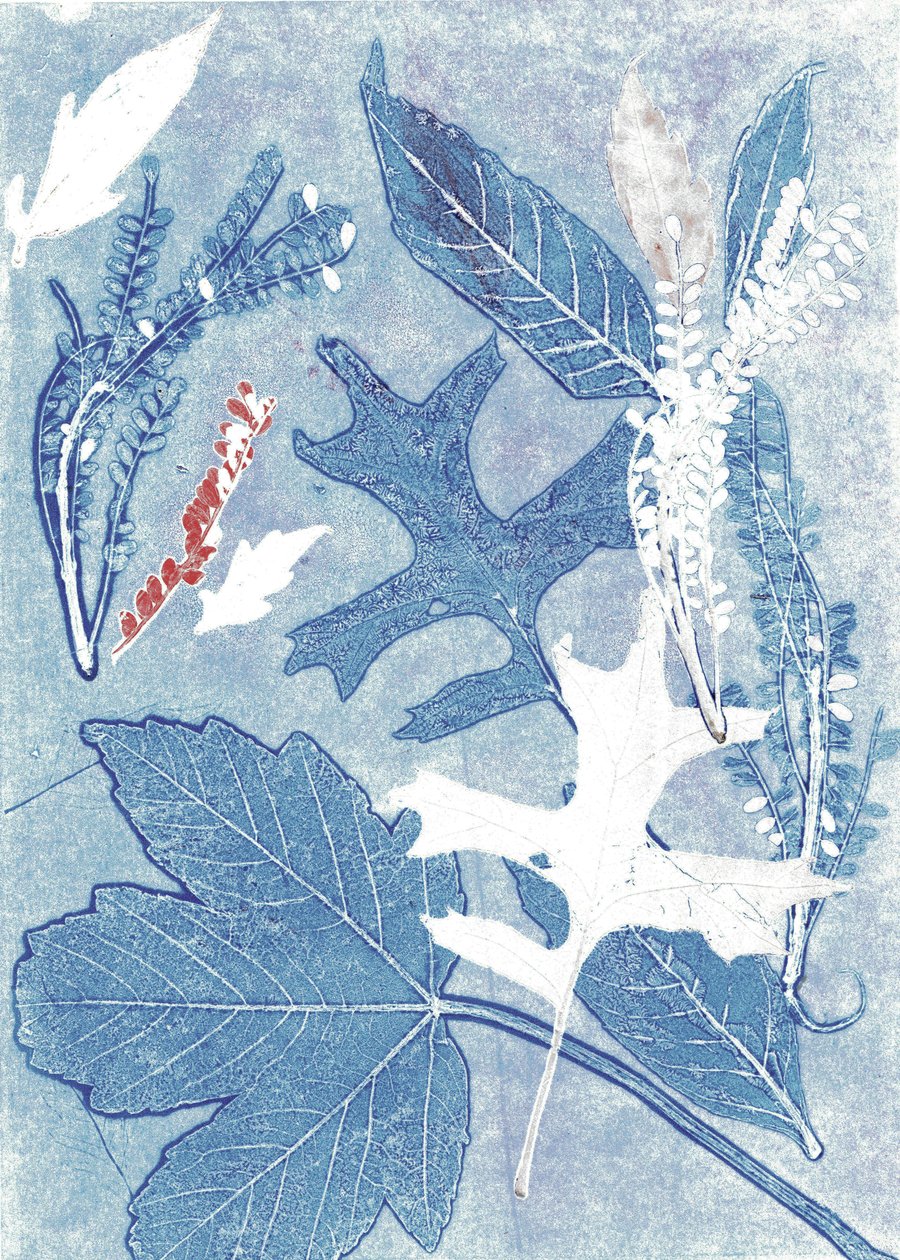 Jol II, 2017 (monoprint, papír) alkotó: Stephen Dow