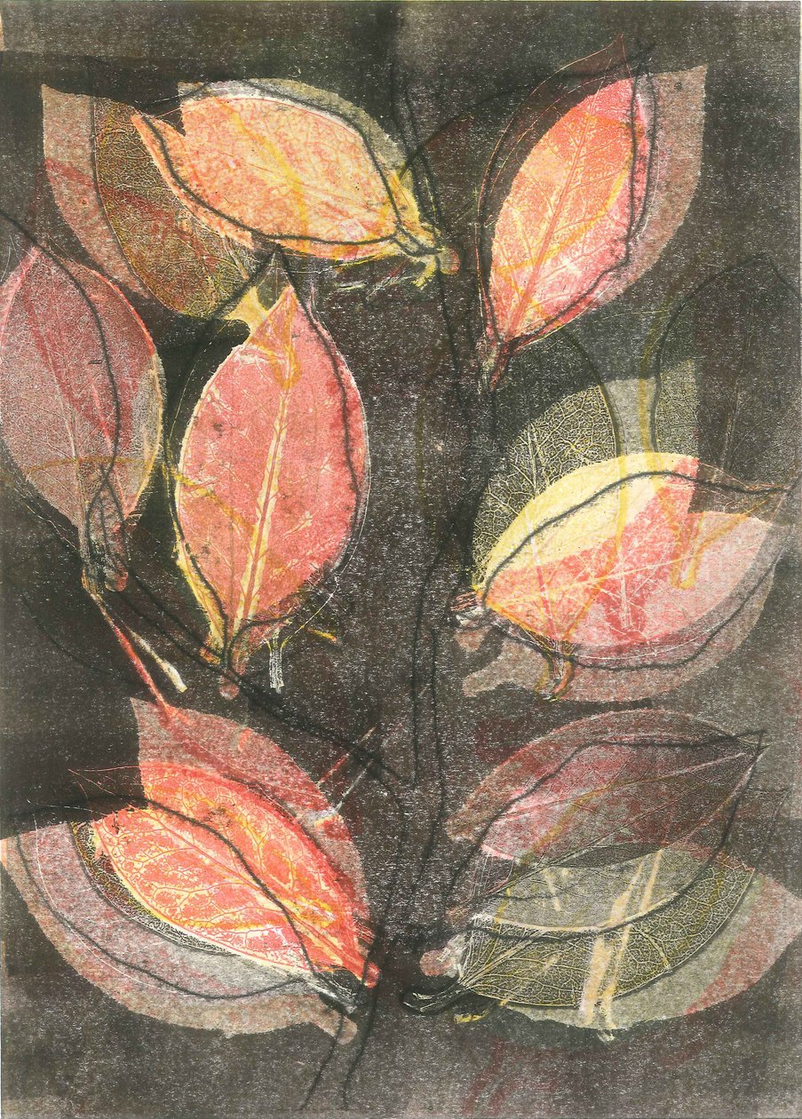 Midnight Garden V, 2015 (monoprint, papír) alkotó: Stephen Dow