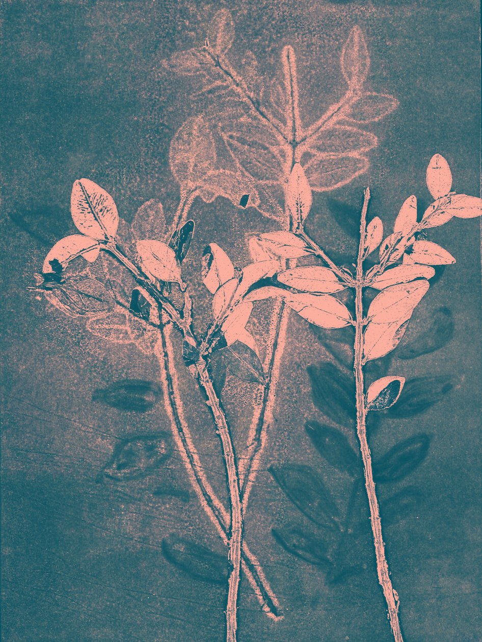 VI. évad, 2018 (digitális) alkotó: Stephen Dow