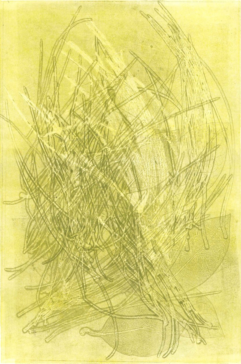 Summer Garden V, 2015 (monoprint, papír) alkotó: Stephen Dow