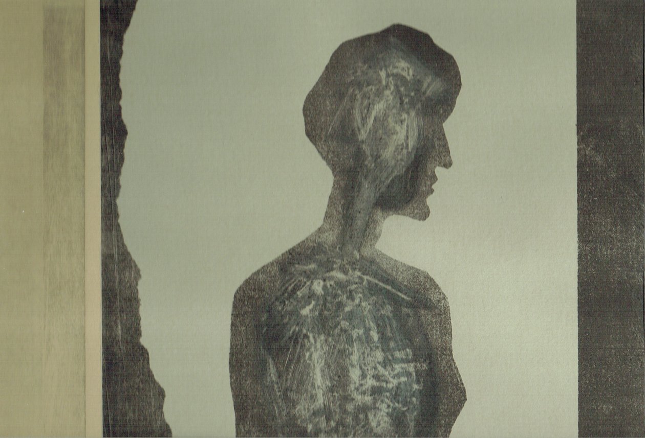 la Foret XII, 2017 (kollázs) alkotó: Stephen Dow