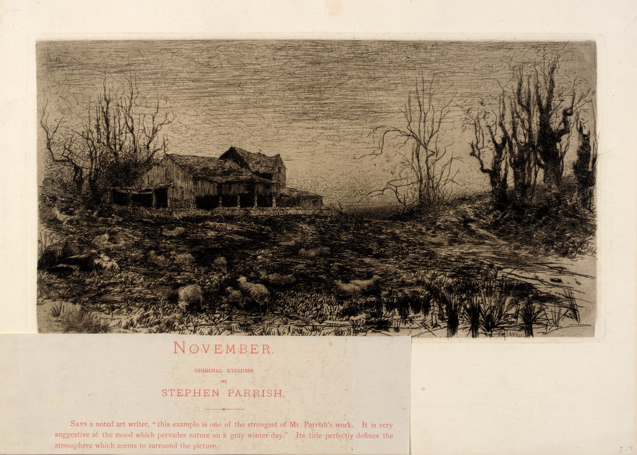 November alkotó: Stephen Parrish