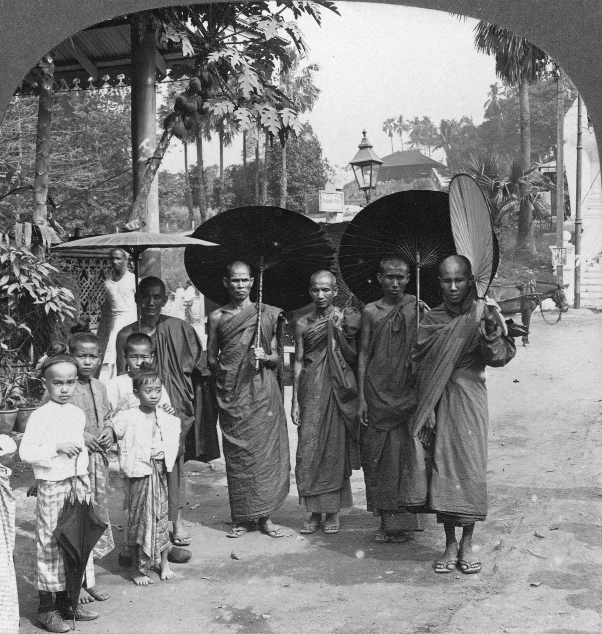 Buddhista szerzetesek napernyőkkel és legyezőkkel, Rangoon, Burma, 1908 alkotó: Stereo Travel Co
