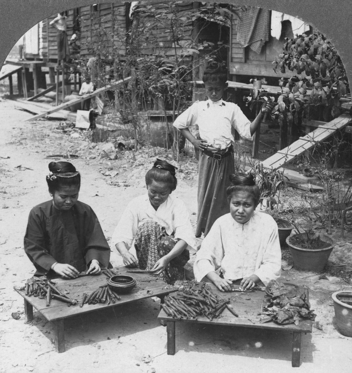 A nők által elszívott hatalmas szivarok készítése, Burma, 1908 alkotó: Stereo Travel Co