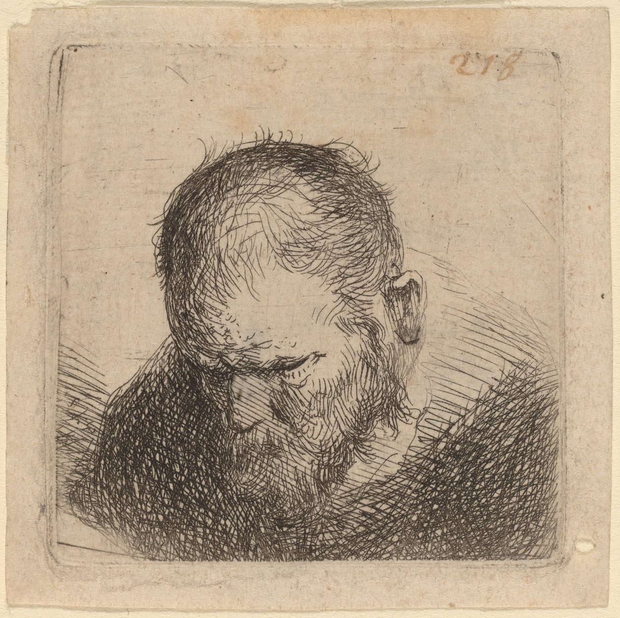 Szakállas Férfi Lenézett alkotó: Studio of Rembrandt van Rijn