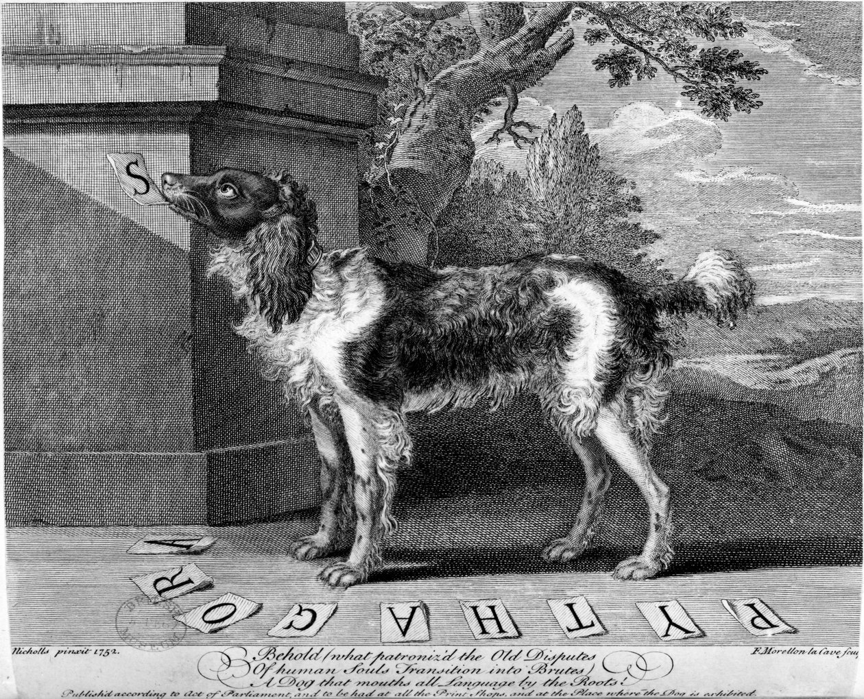 Az új Chien Savant, vagy tanult kutya, F-Morellon la Cave lenyomata, 1752 alkotó: Sutton Nicholls