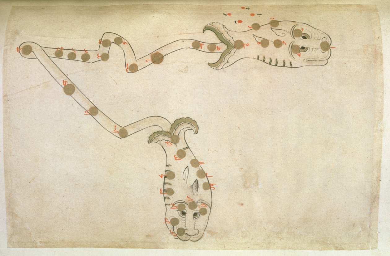 Az állatöv ábrázolásai: Halak, halak, 1497-1498 (903 Hijra) alkotó: Suvar Al Kavakib