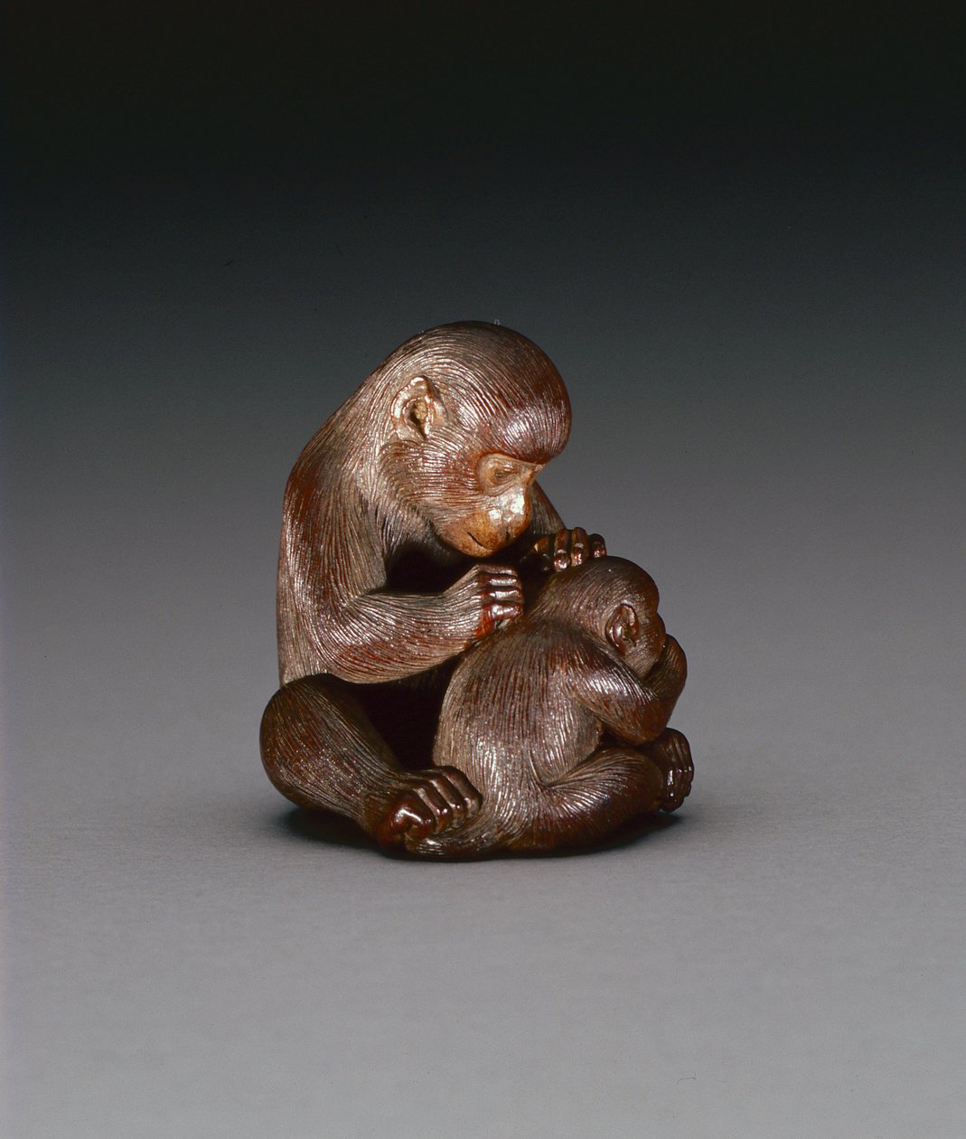 Netsuke anyamajmot és fiát ábrázolva, 1880-1900 körül (fa) (a hátoldalt lásd: 208393) alkotó: Suzuki Tokuku