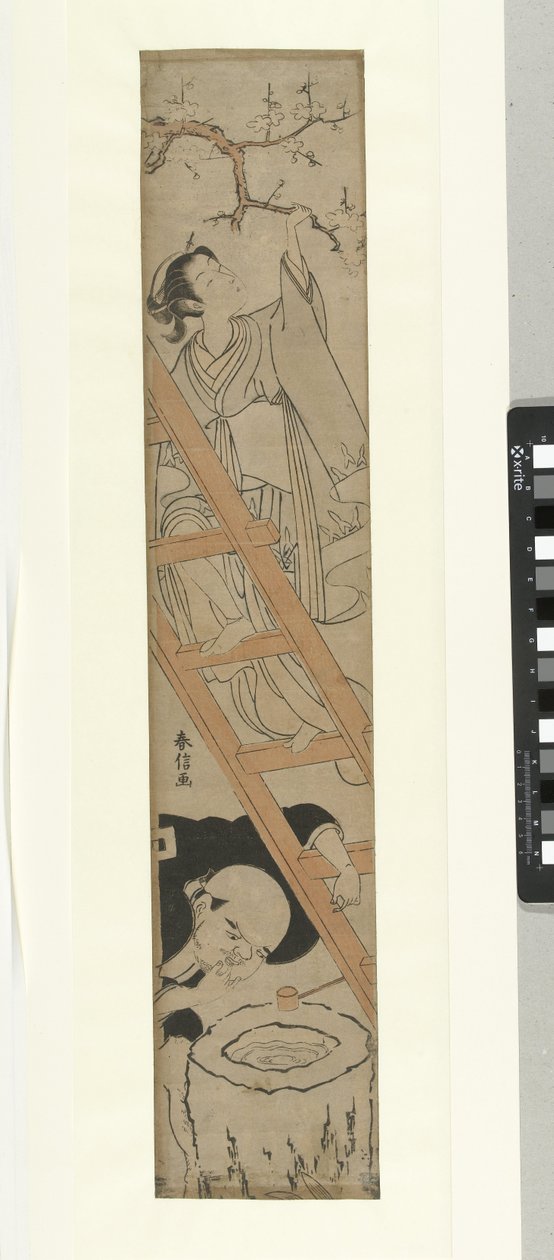 Lány a létrán alkotó: Suzuki Harunobu
