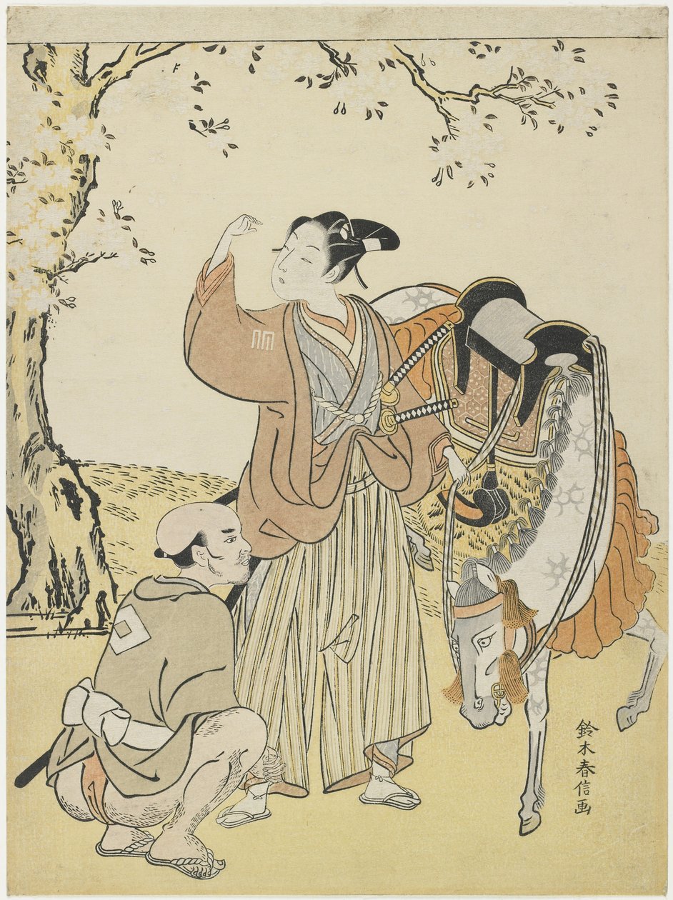 Fiatal szamuráj cseresznyevirágzást néz Kaoru herceg mitátusaként, c. 1767 alkotó: Suzuki Harunobu