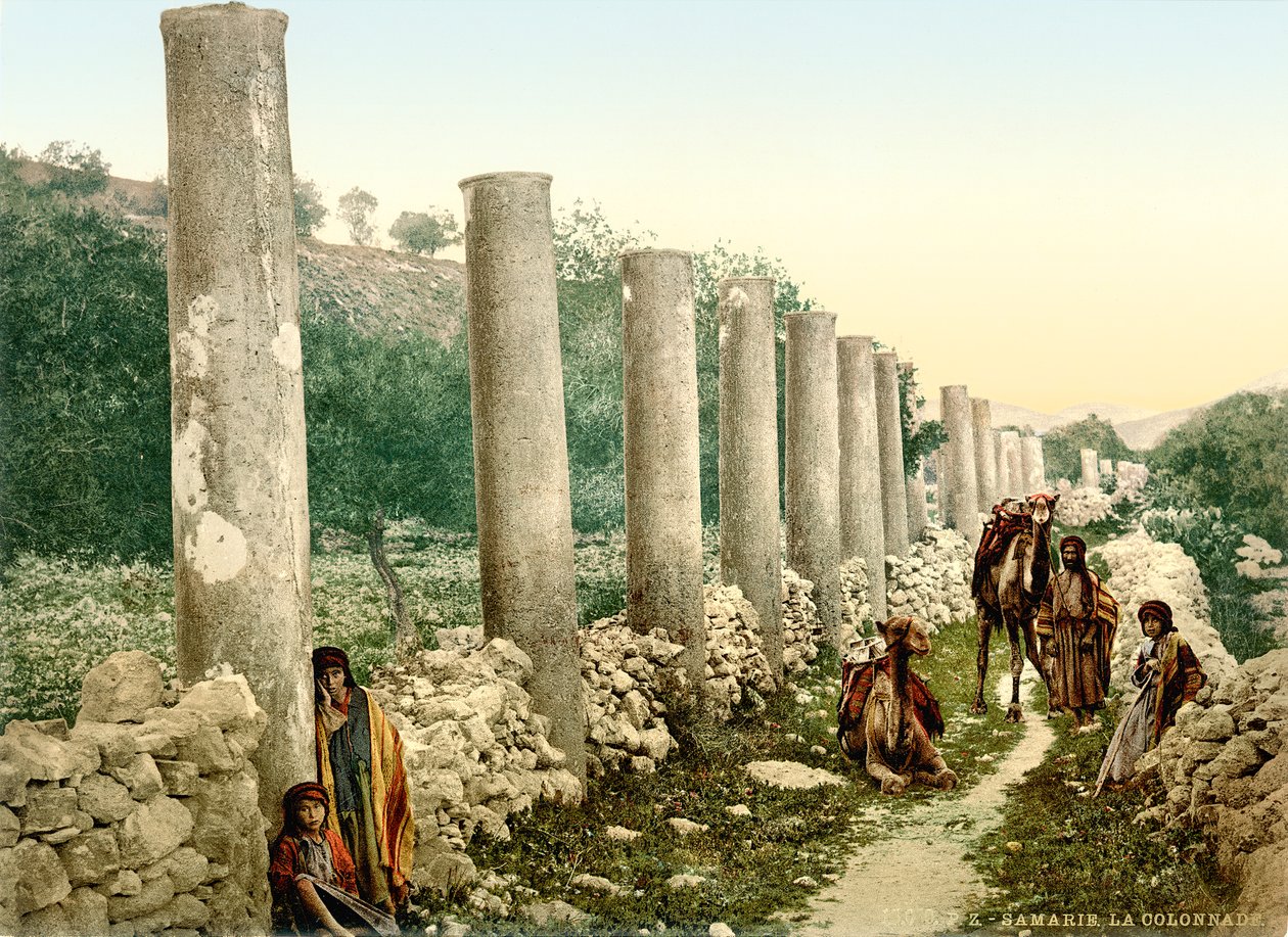 Római oszlopos utca Szamariában, 1880-1900 körül (photochrom) alkotó: Swiss Photographer