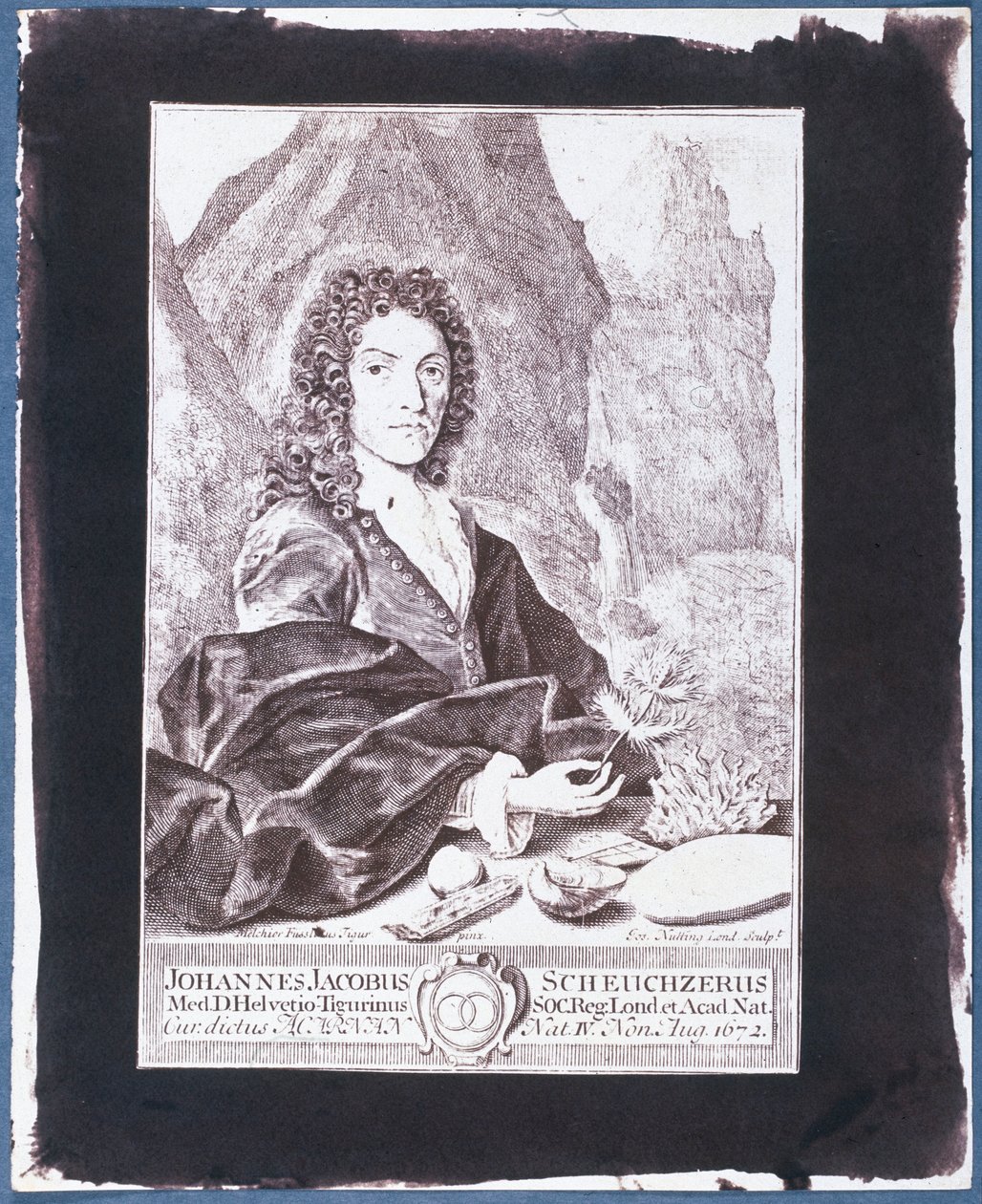 Johann Jakob Scheuchzer alkotó: Swiss School