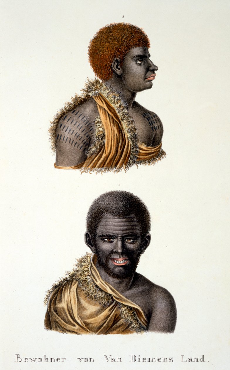 Van Diemans Land szülöttei, pl. Tasmania, az Ethnological Study of Various Racial Types from Various Continents, C.I. Brodtmann, 1824 alkotó: Swiss School