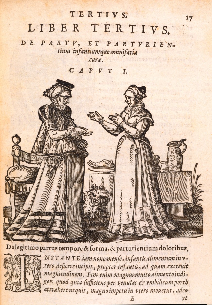 Egy sérült kezű beteget ápoló nővér, Jakob Ruf De Concepta et Generatione Hominis könyvéből, 1587 (nyomtatás és fametszet papírra) alkotó: Swiss School