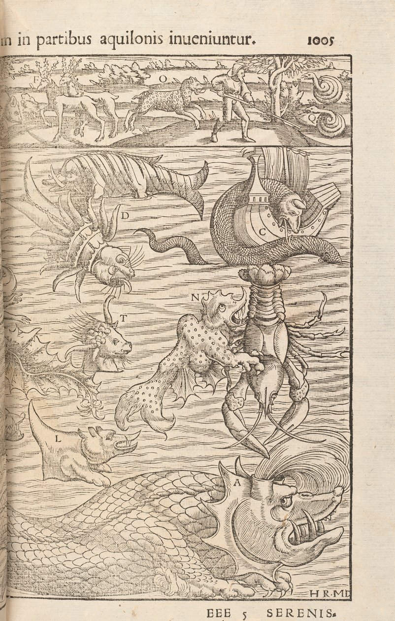 1005. oldal a Cosmographiae Universalisból, Sebastian Muenster, Basel, 1572 alkotó: Swiss School