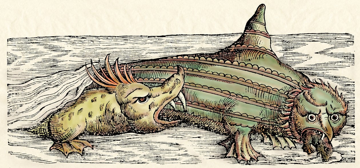 Tengeri lények, illusztráció Conrad Gesner 