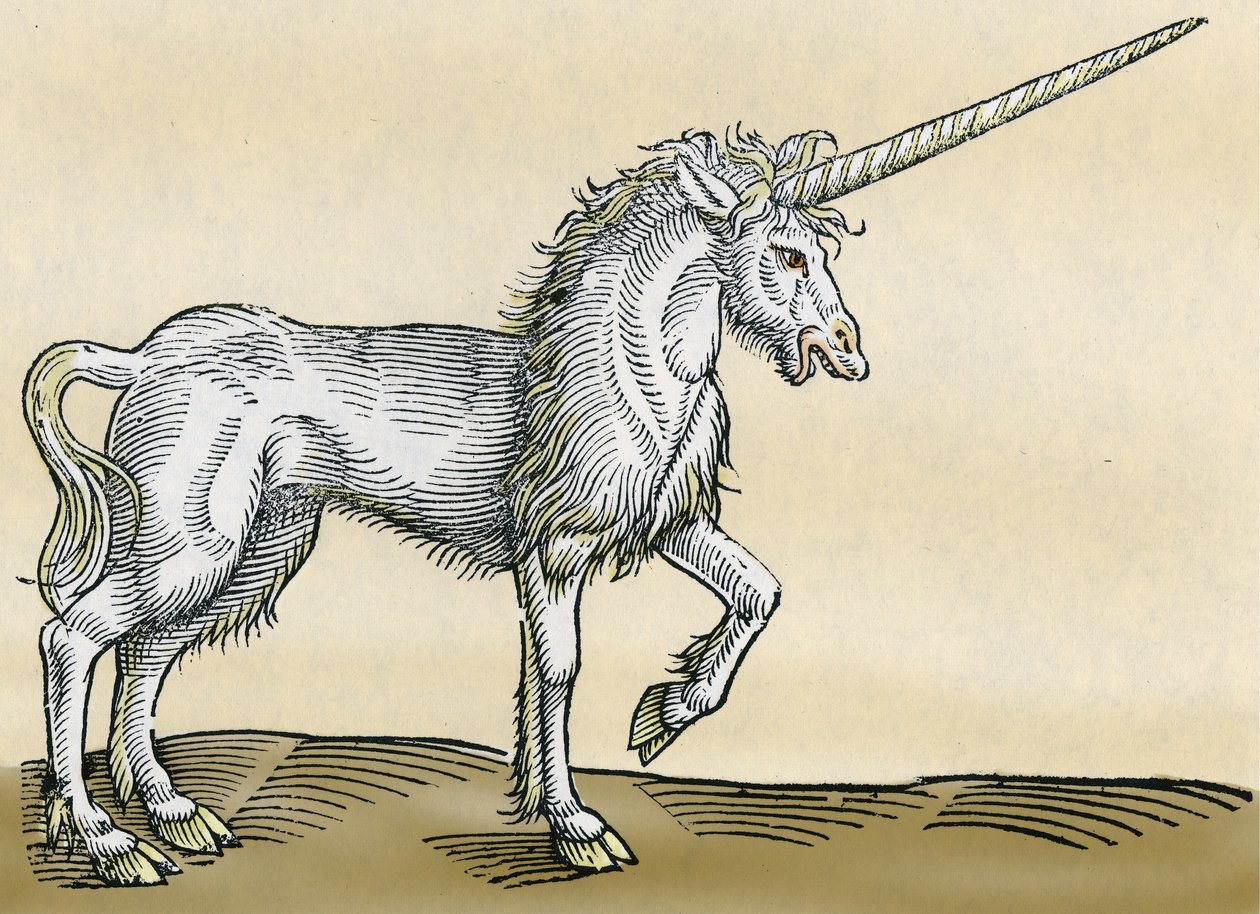 Egyszarvú, illusztráció a Historia Animaliumból, Conrad Gesner, 1551 alkotó: Swiss School