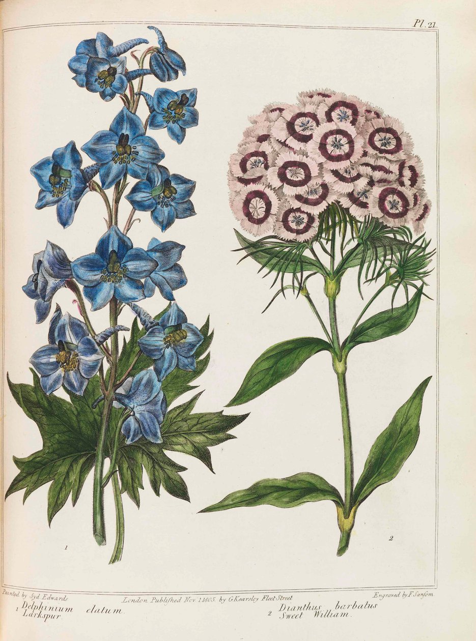 Illusztráció Alexander McDonald gyakorlati kertészkedéséből, 1807. alkotó: Sydenham Teast Edwards