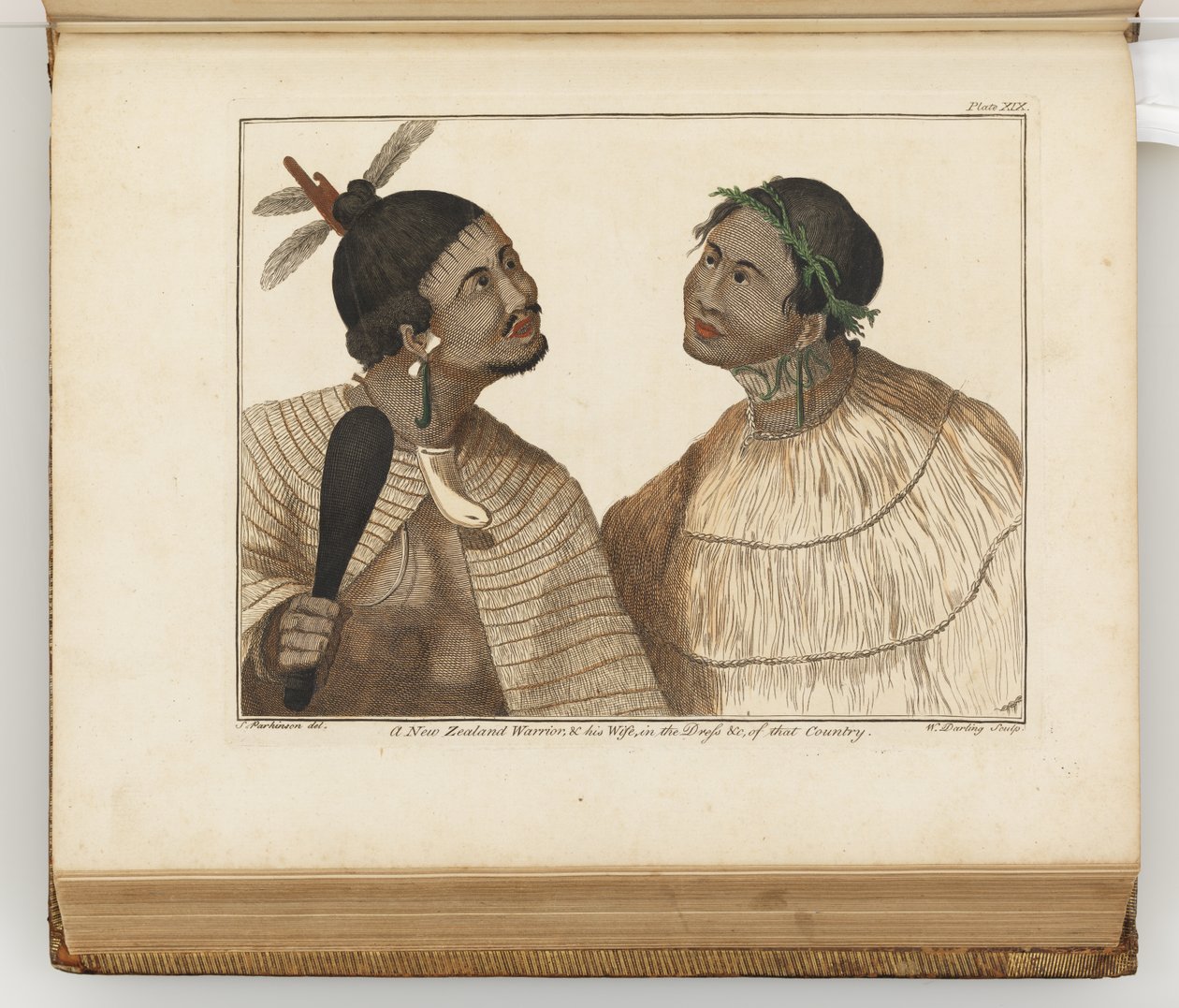 Egy új-zélandi harcos és felesége, illusztráció az Egy déli tengeri utazás naplójából: Őfelsége hajón, az Endeavourban, 1794 (kézzel színezett metszet) alkotó: Sydney