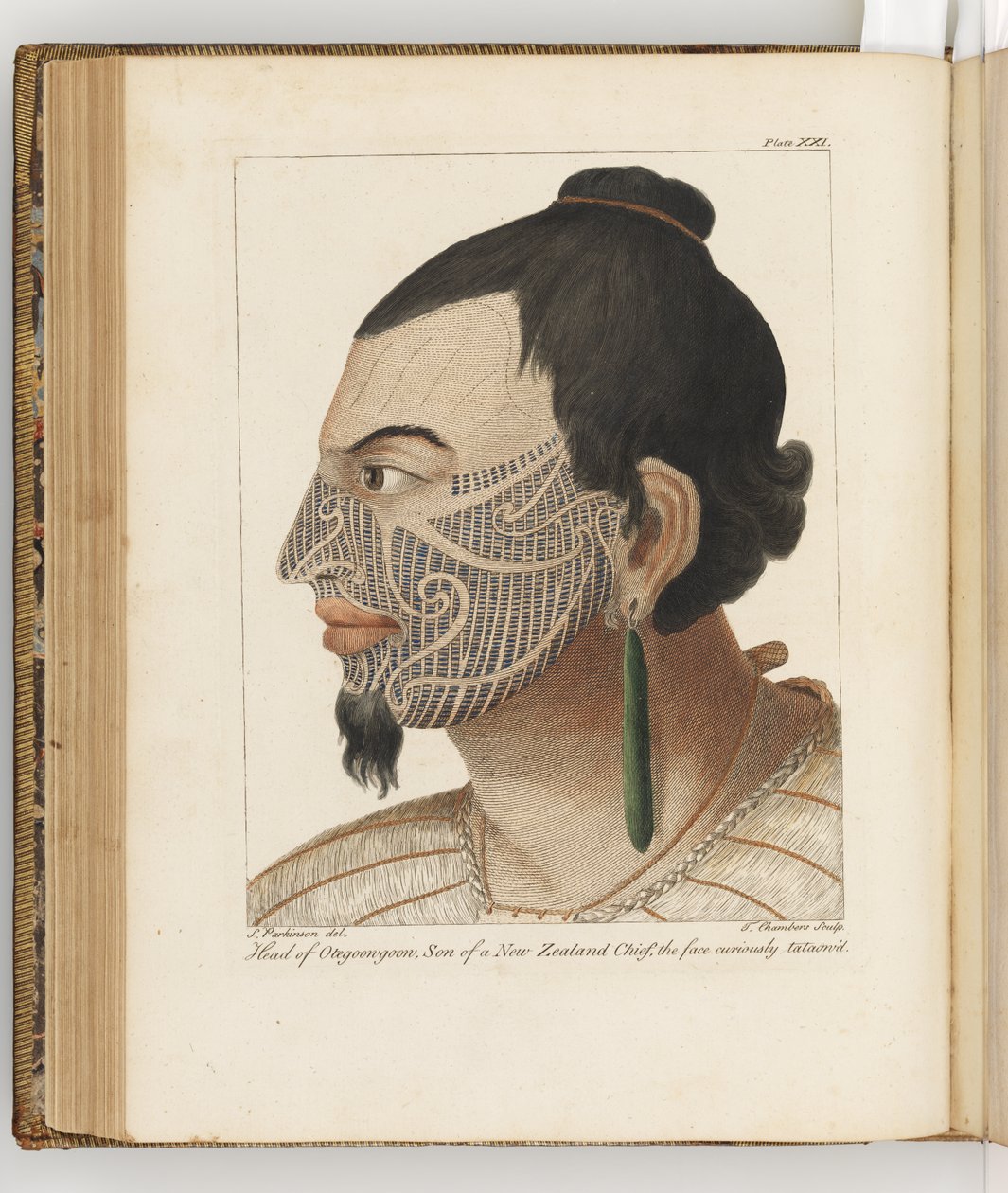 Az Otegoongoon vezetője, illusztráció a Déli-tengerre vezető utazás naplójából: Őfelsége hajón, az Endeavourban, 1794 (kézzel színezett metszet) alkotó: Sydney