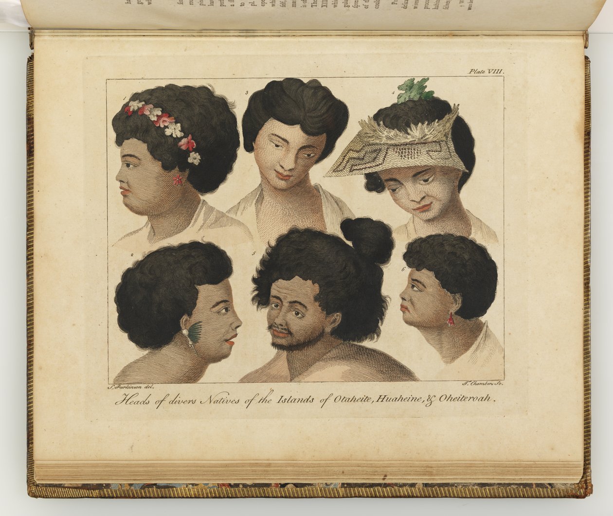 Különféle bennszülöttek fejei, illusztráció a Déli-tengeri utazás naplójából: Őfelsége hajóban, az Endeavourban, 1794 (kézzel színezett metszet) alkotó: Sydney