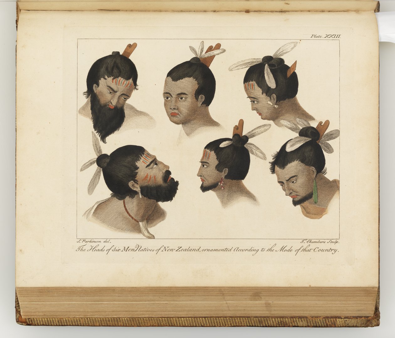 Hat ember feje, illusztráció a Déli-tengeri utazás naplójából: Őfelsége hajón, az Endeavourban, 1794 (kézzel színezett metszet) alkotó: Sydney