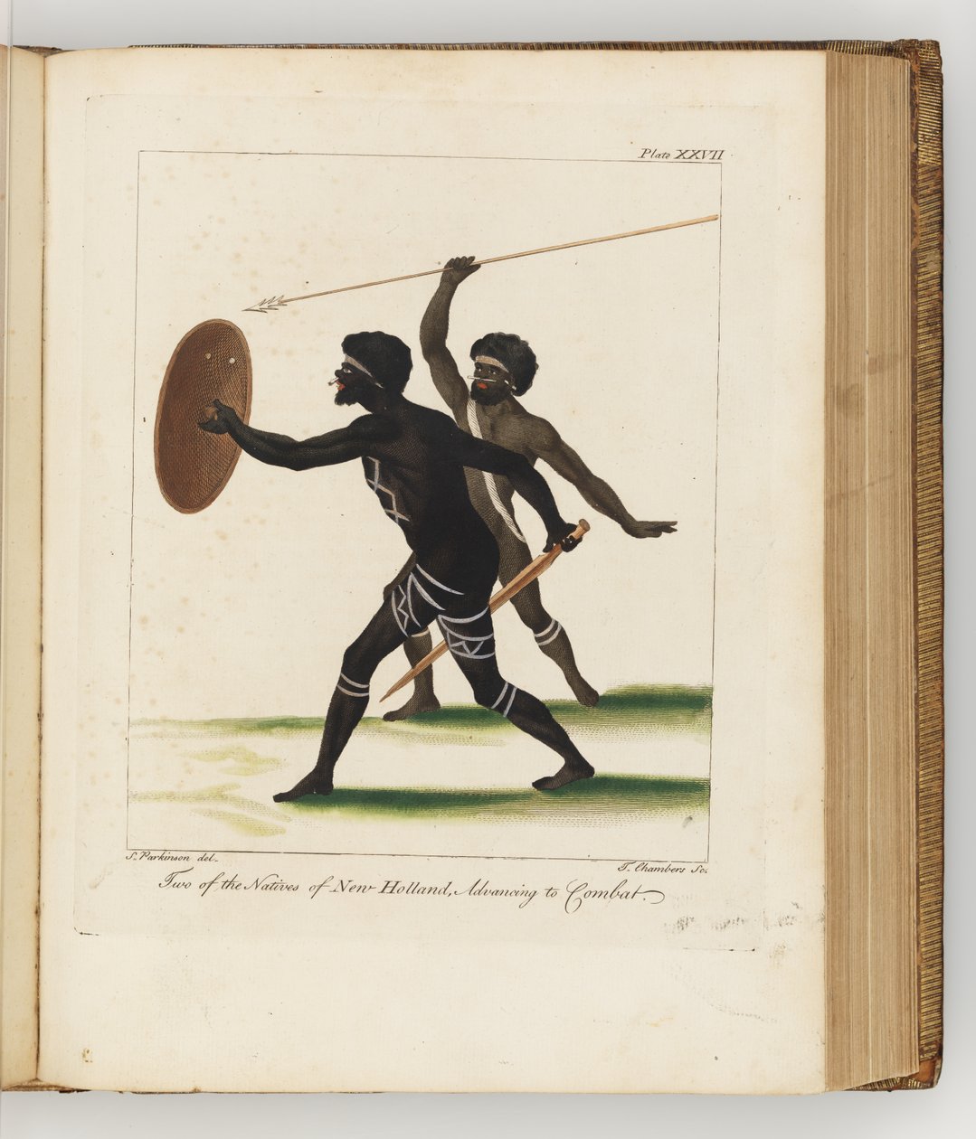 Két új-holland bennszülött, illusztráció a Déli-tengeri utazás folyóiratából: Őfelsége hajón, az Endeavourban, 1794 (kézzel színezett metszet) alkotó: Sydney