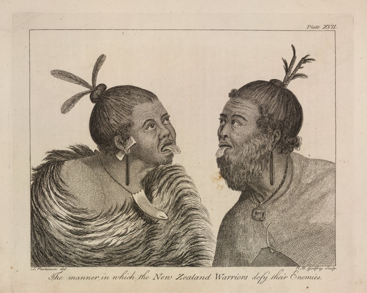 L.R.294.c.7, XVII. tábla Új-zélandi harcosok alkotó: Sydney (after) Parkinson