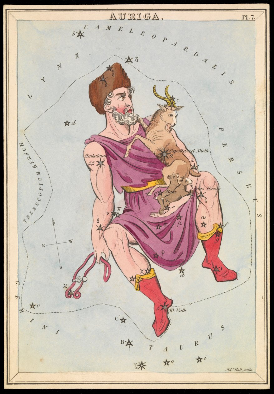 Auriga, 1825 körüli (kártya, papír, szövet ) alkotó: Sydney Hall