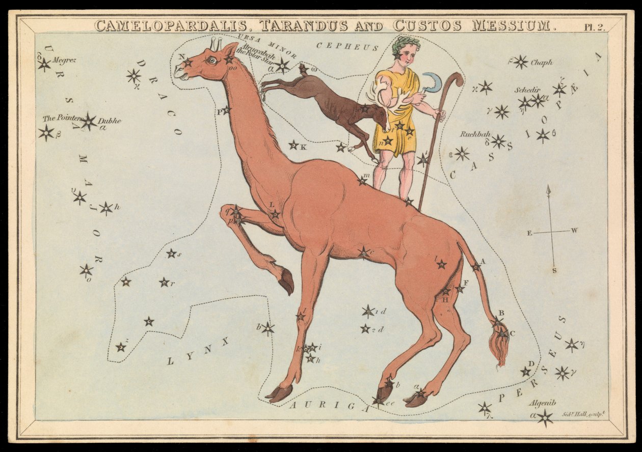 Camelopadalis, Tarandus és Custos Messium, 1825 körül (kártya, papír, szövet ) alkotó: Sydney Hall