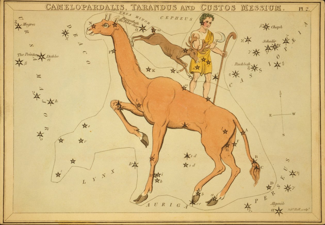 Camelopardalis, Tarandus és Custos Messium, Illusztráció az „Uránia tükréből” alkotó: Sydney Hall