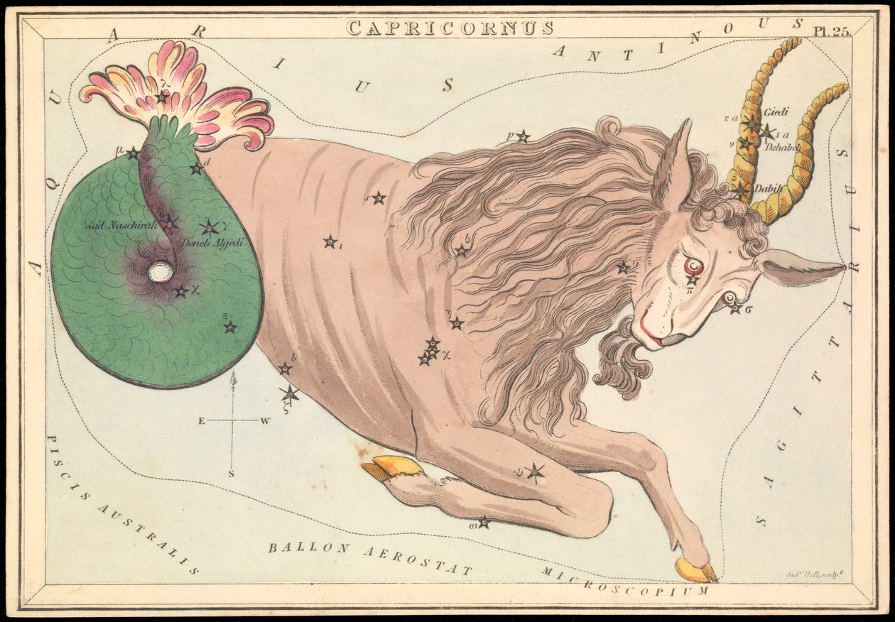 Capricornus, 1825 körüli (kártya, papír, szövet ) alkotó: Sydney Hall