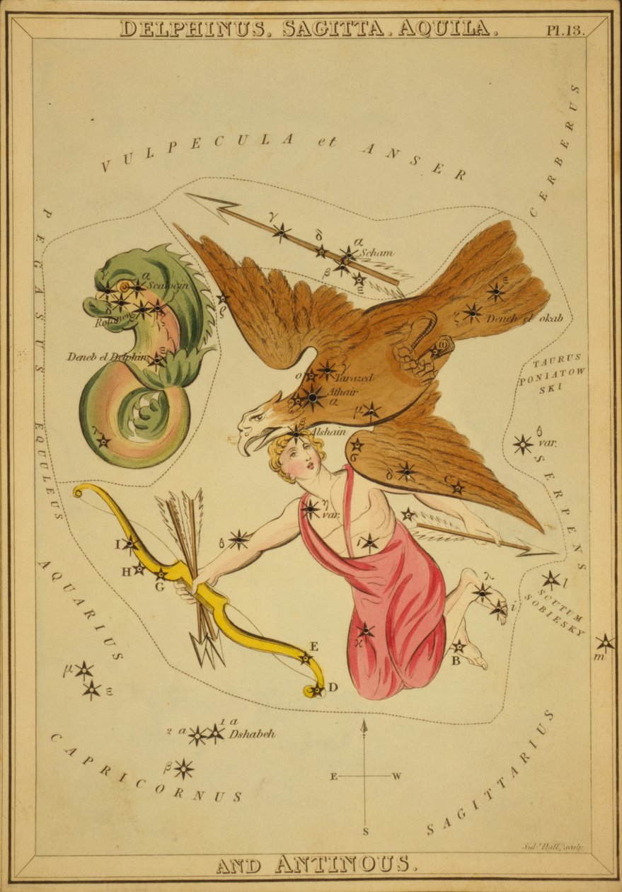 Delphinus, Sagitta, Aquila és Antinous, Illusztráció az Uránia tükréből alkotó: Sydney Hall