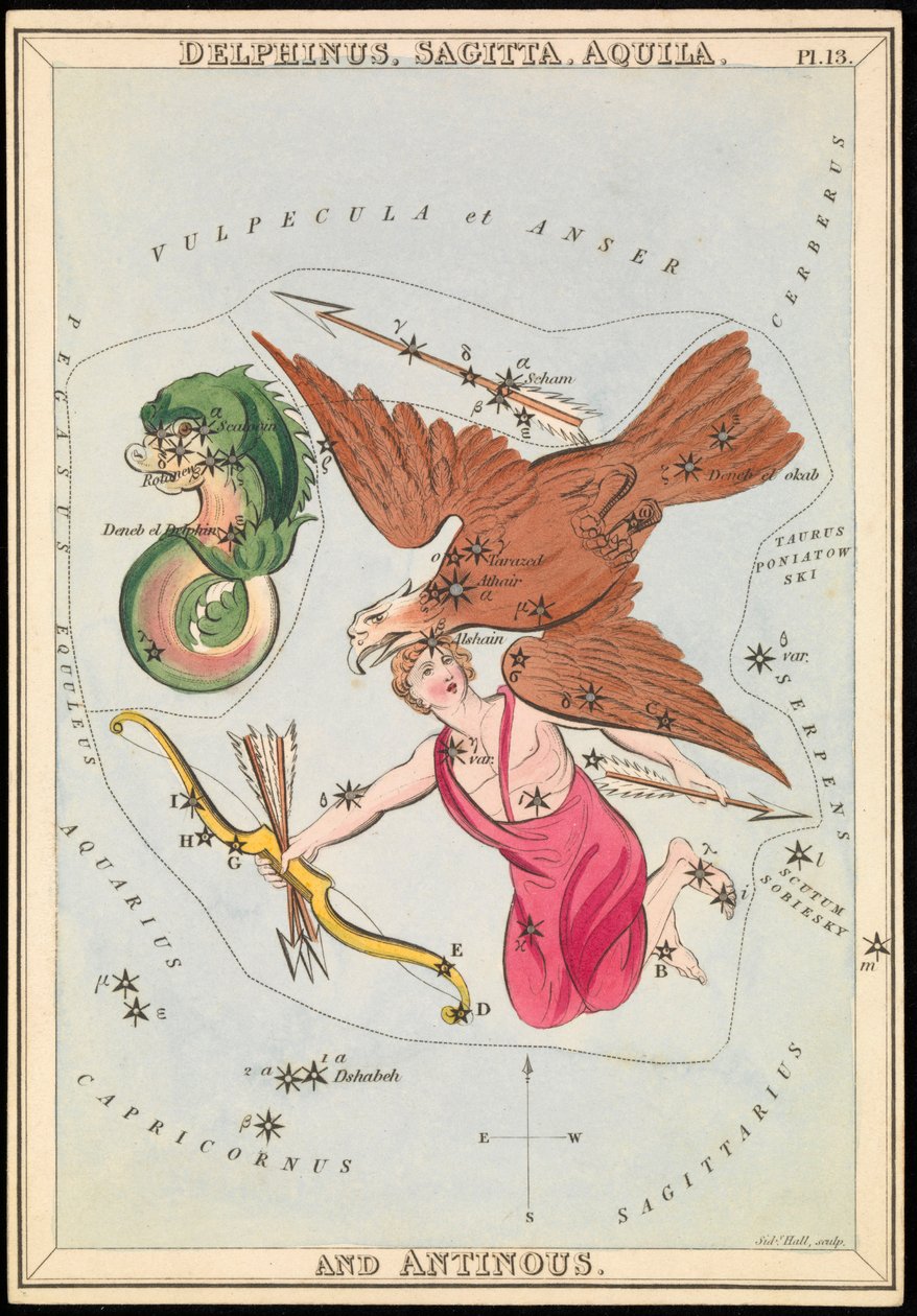 Delphinus, Sagitta, Aquila és Antinous, 1825 körül (kártya, papír, szövet) alkotó: Sydney Hall