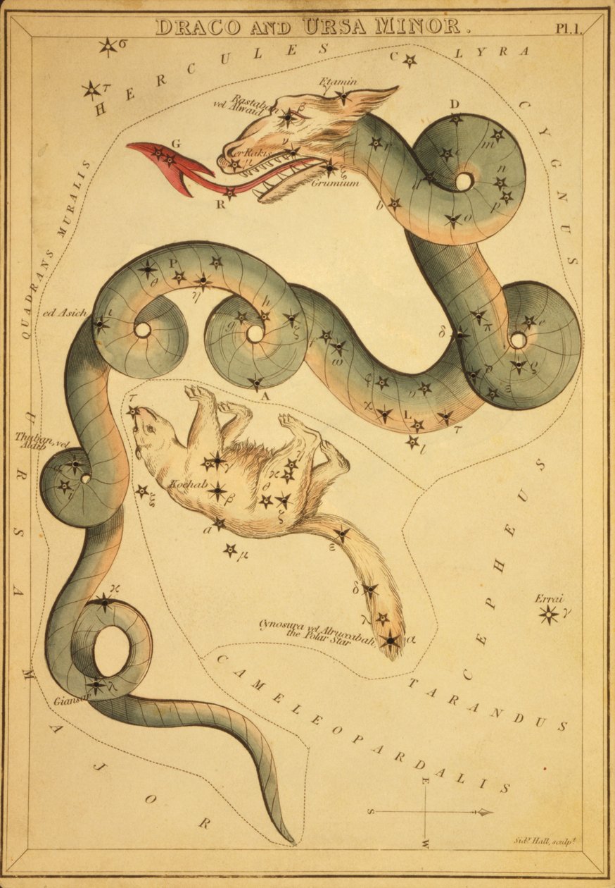 Draco és Ursa Minor, Illusztráció az „Uránia tükréből” alkotó: Sydney Hall