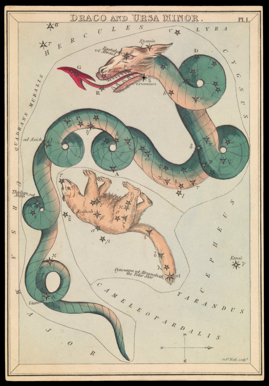 Draco és Ursa Minor, 1825 körül (kártya, papír, szövet ) alkotó: Sydney Hall