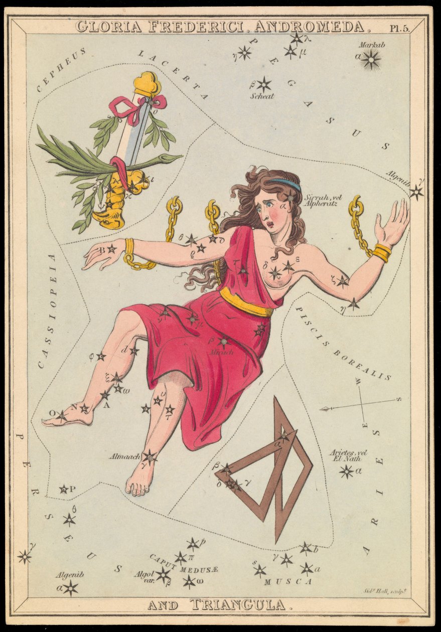 Gloria Frederich, Androméda és Triangula, 1825 körül (kártya, papír, selyem) alkotó: Sydney Hall