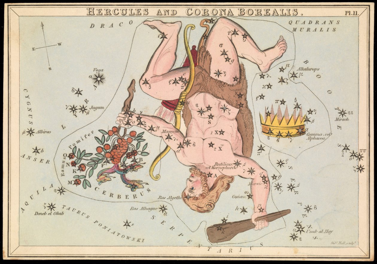 Hercules és Corona Borealis, 1825 körül (kártya, papír, szövet ) alkotó: Sydney Hall