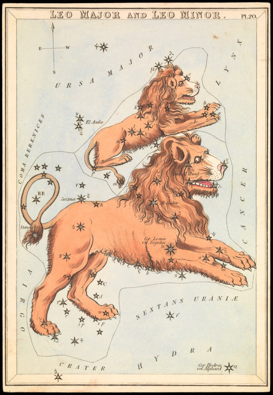 Leo Major és Leo Minor, 1825 körüli (kártya, papír, szövet ) alkotó: Sydney Hall