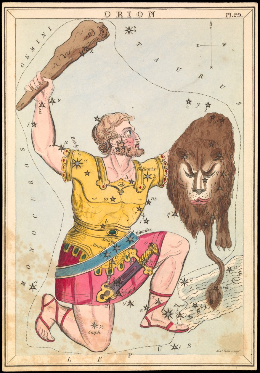 Orion, 1825 körül (kártya, papír, szövet) alkotó: Sydney Hall