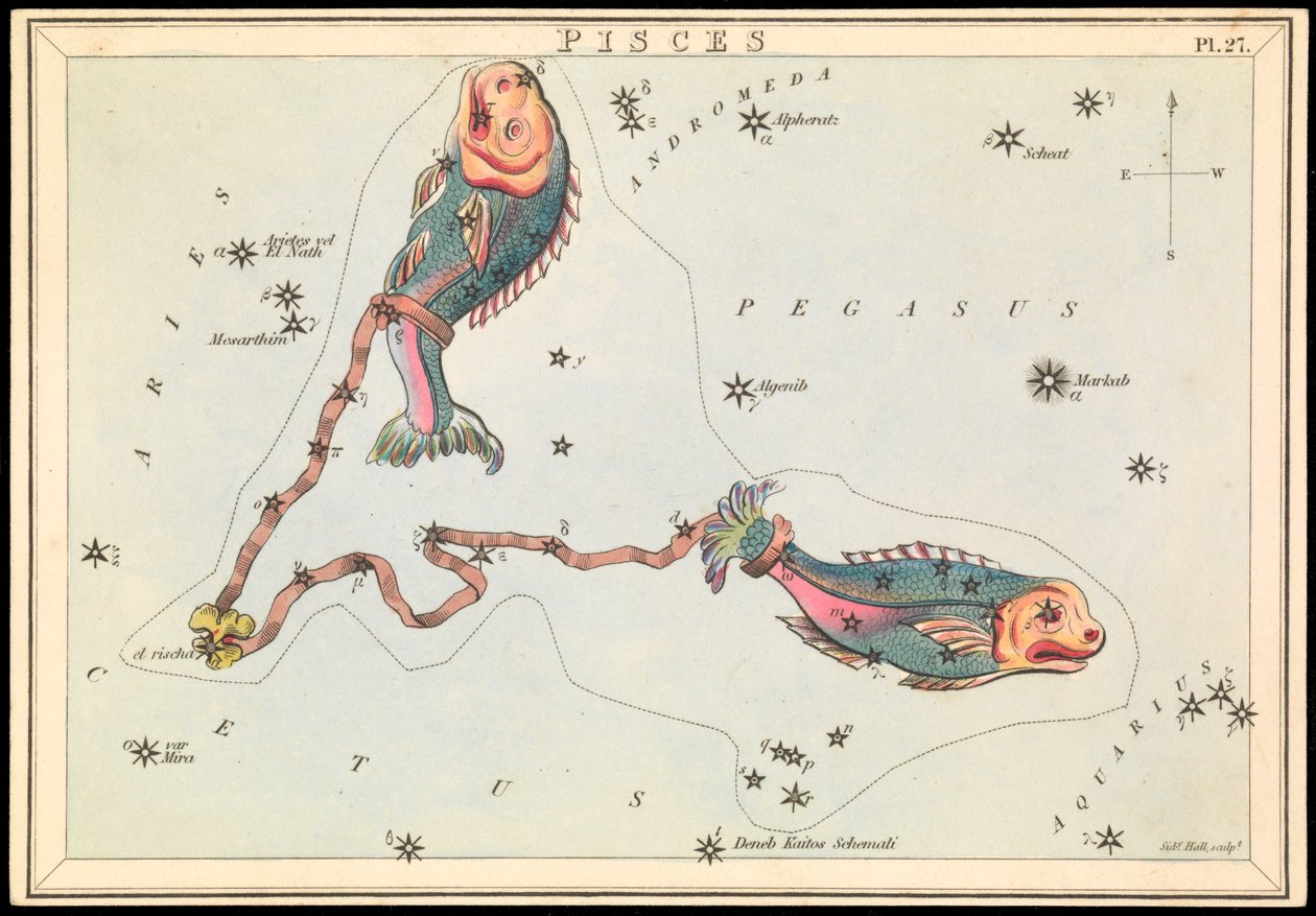 Halak, 1825 körüli (kártya, papír, szövet ) alkotó: Sydney Hall