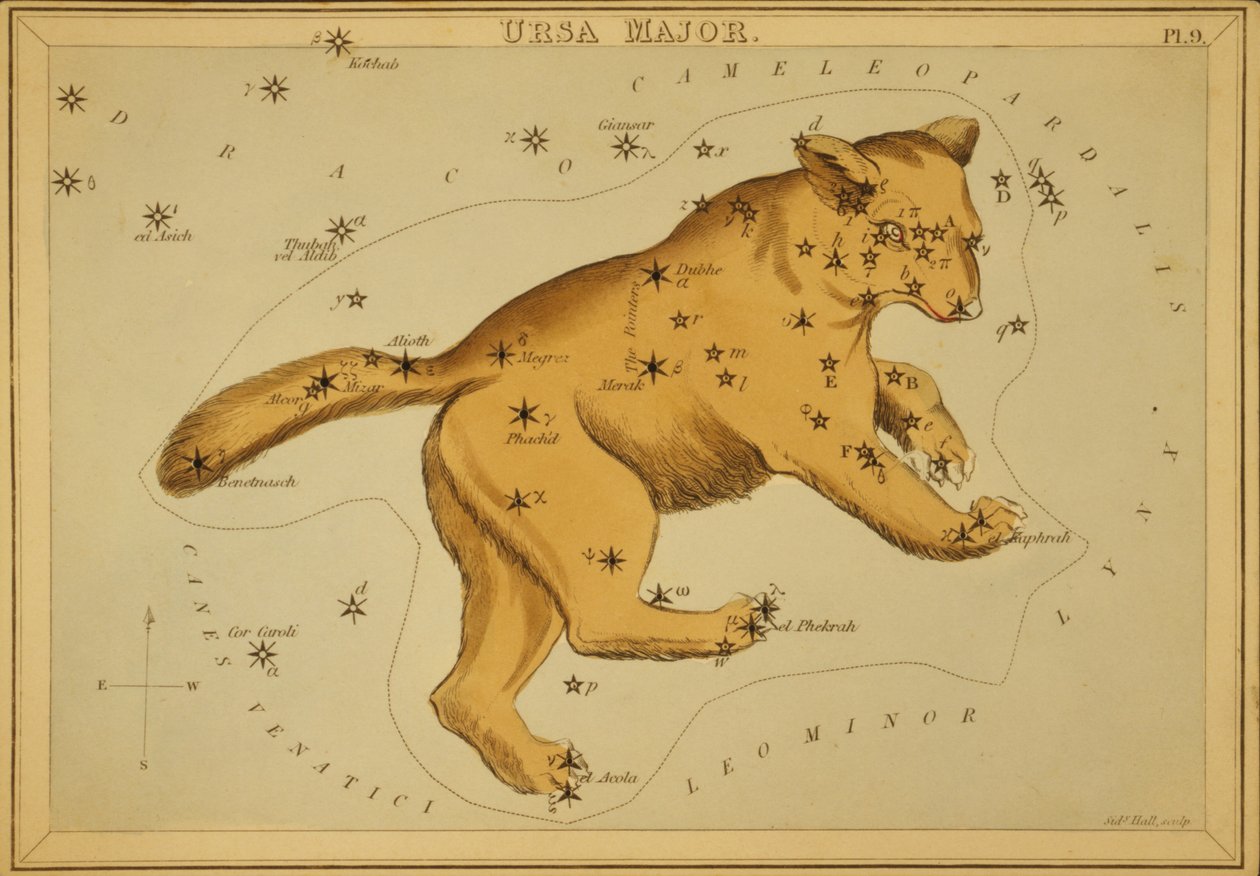 Ursa Major, Illusztráció az 