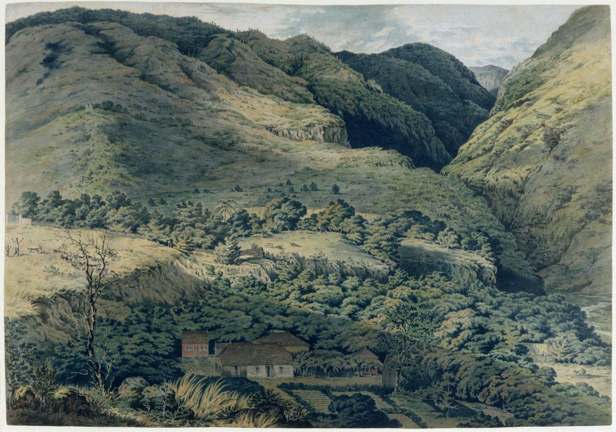 Szakadék és folyó St. Denisben, Bourbonban, 1814 alkotó: T. Bradshaw