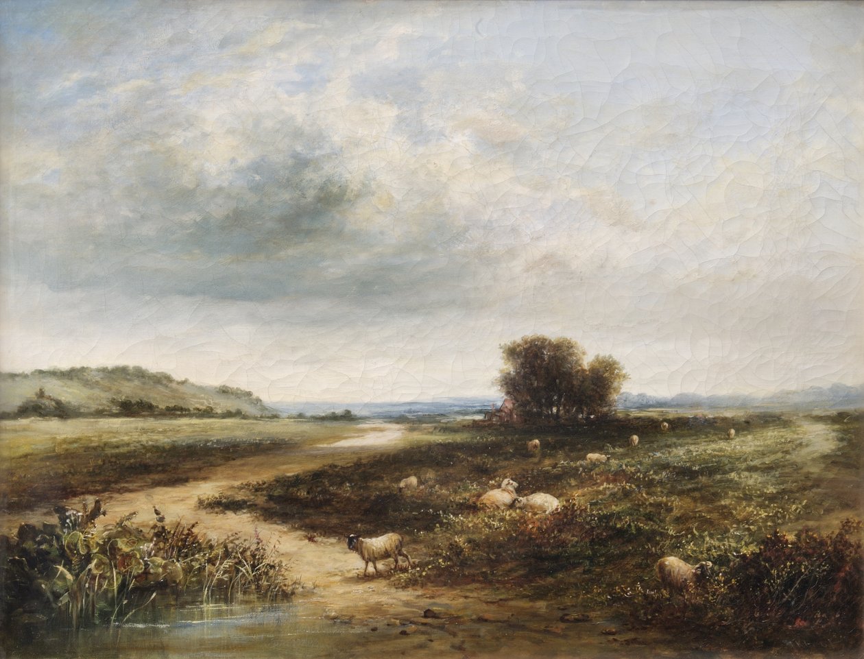 Birkák közösen alkotó: T. K. Atkinson