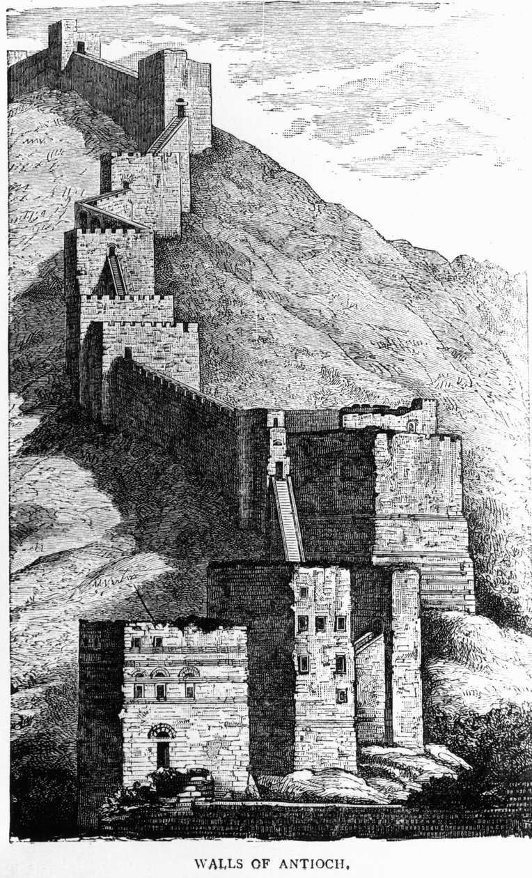 Antiochia falai, 1894 alkotó: T.A. Archer