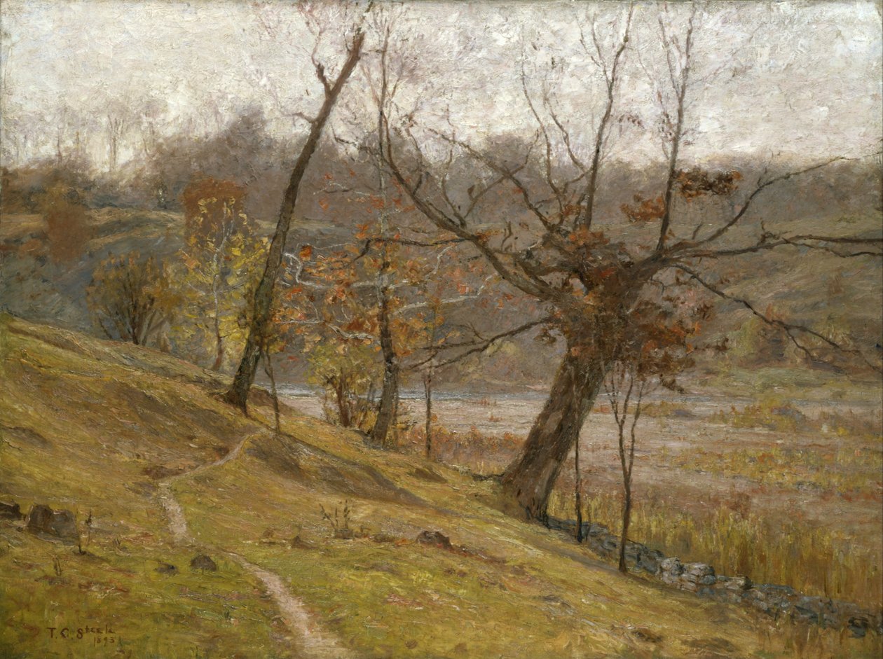 A szőlő virágzása alkotó: T.C. Steele