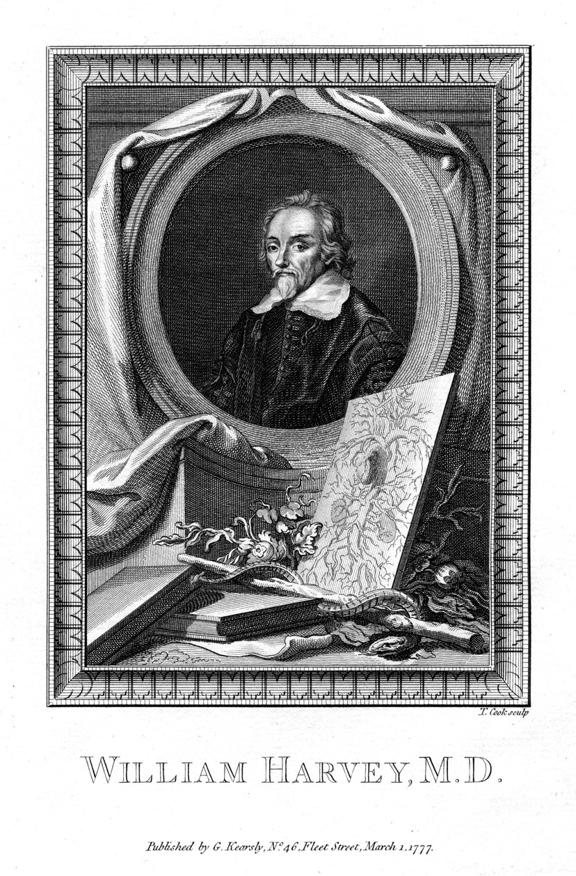 William Harvey orvos, 1777. alkotó: T. Cook